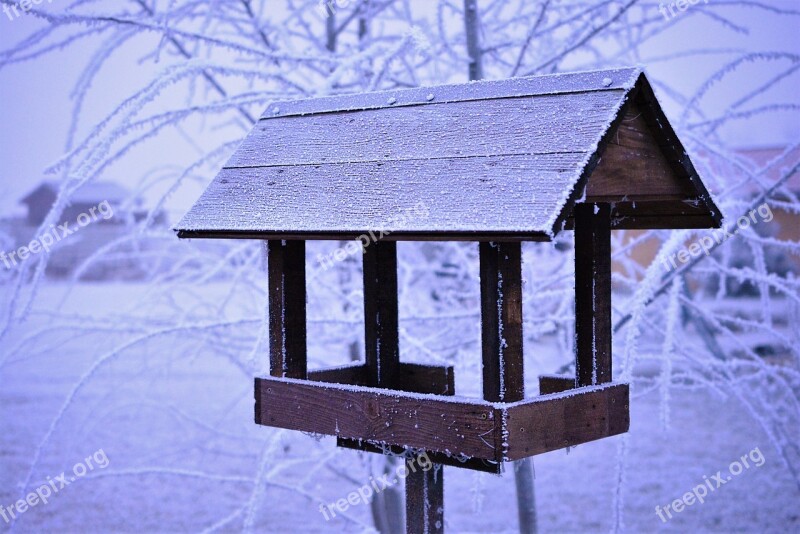 The Feeder Winter Snow Frost Trees