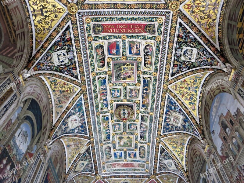 Italy Hers Libreria Silvio Piccolomini Ceiling