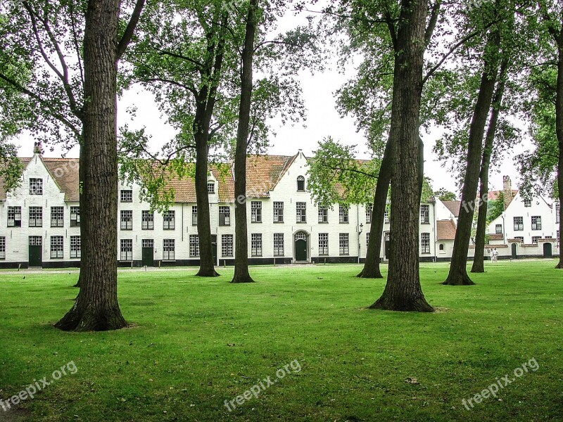 Belgium Bruges Brugges Building Trees