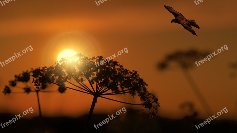 Sunset Landscape Nature Evening Sky Twilight