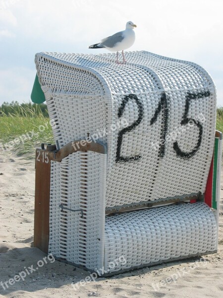 Hooksiel Beach North Sea North Sea Coast Seagull