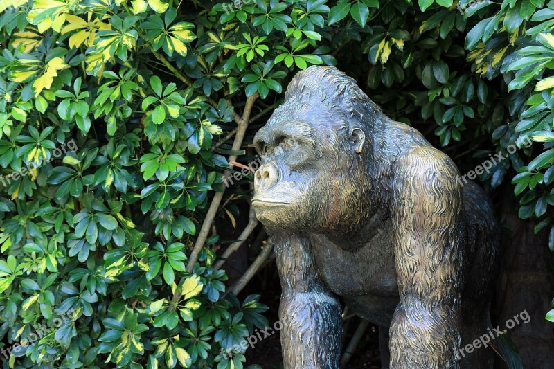 Gorilla Monkey Sculpture Zoo Animal