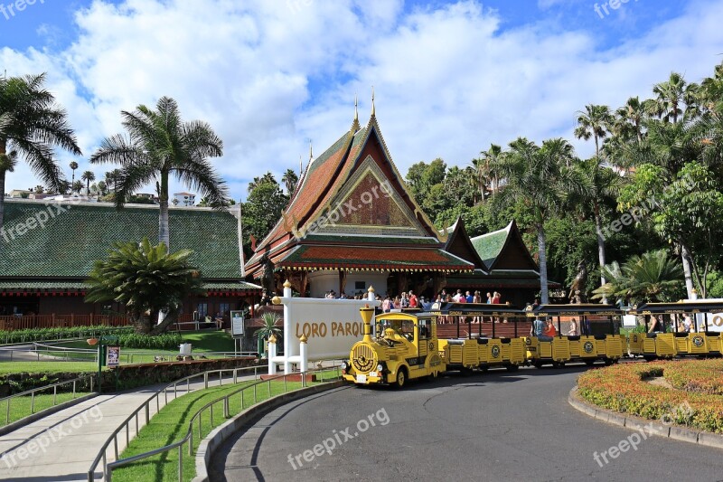 Train The Queue Module Rails Loro Parque