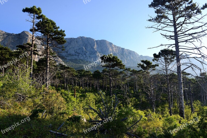 Simeiz Crimea Sea Yalta Landscape