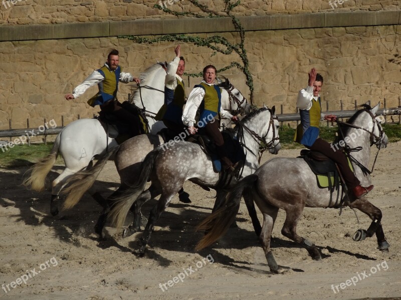 Riders Horses Horseback Historic Group