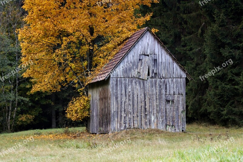 Hut Schopf Autumn Leaves Nature