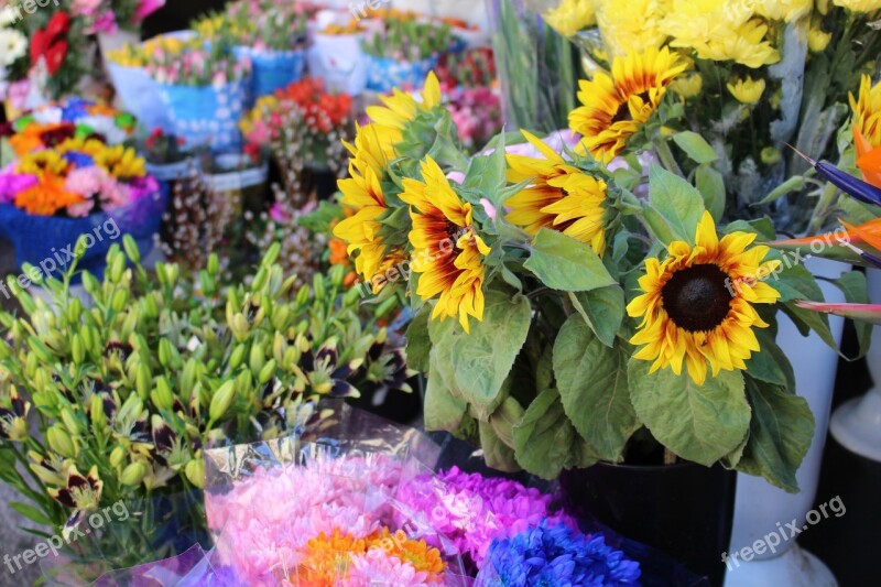 Flowers Sunflower Square Flower Bouquet