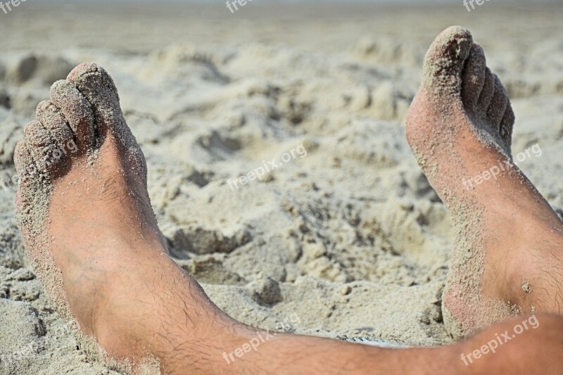 Beach Feet North Sea Sand Barefoot