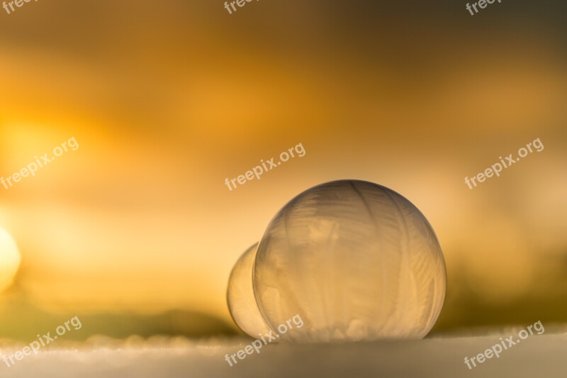 Soap Bubbles Frozen Frozen Bubble Winter Wintry