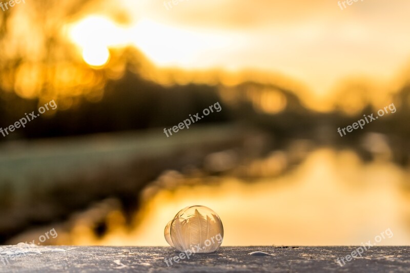 Soap Bubble Frozen Winter Cold Frozen Bubble