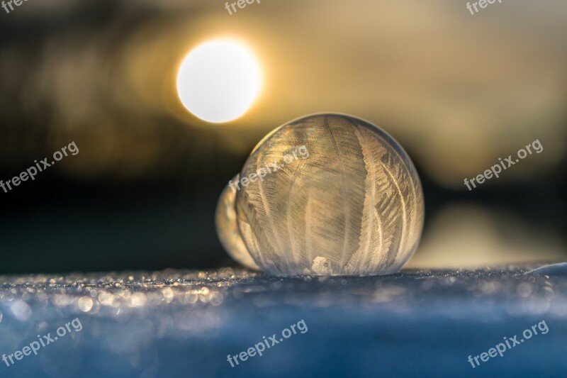 Soap Bubble Ice Cold Winter Frozen Bubble