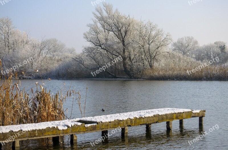 Winter Cold Nature Ice Snowy