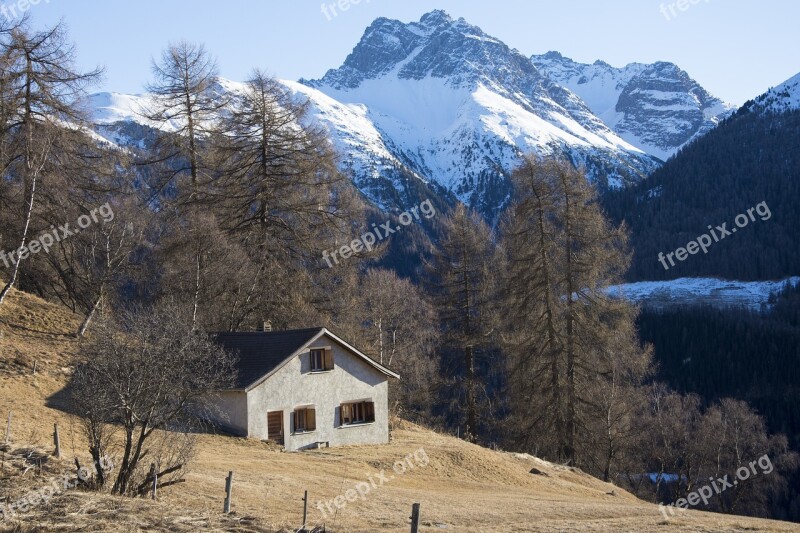 Alpine Hut Mountains Hut Alm Idyll