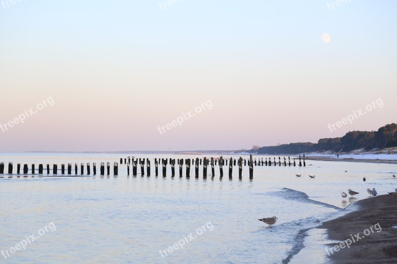 Winter Ice Beach Icicle Sea