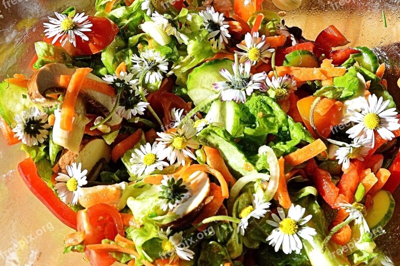 Salad Summer Salad Flowers Daisy Wild Herbs