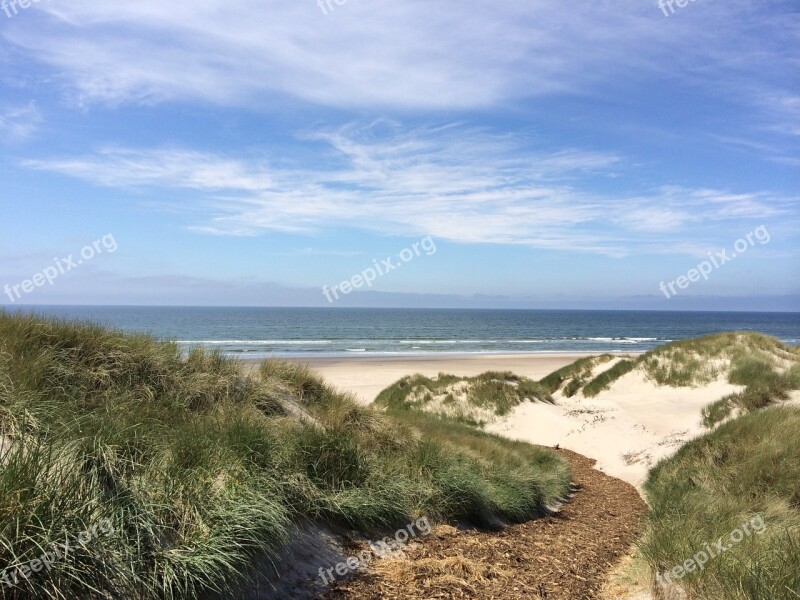 Beach Ocean Water Sums Free Photos