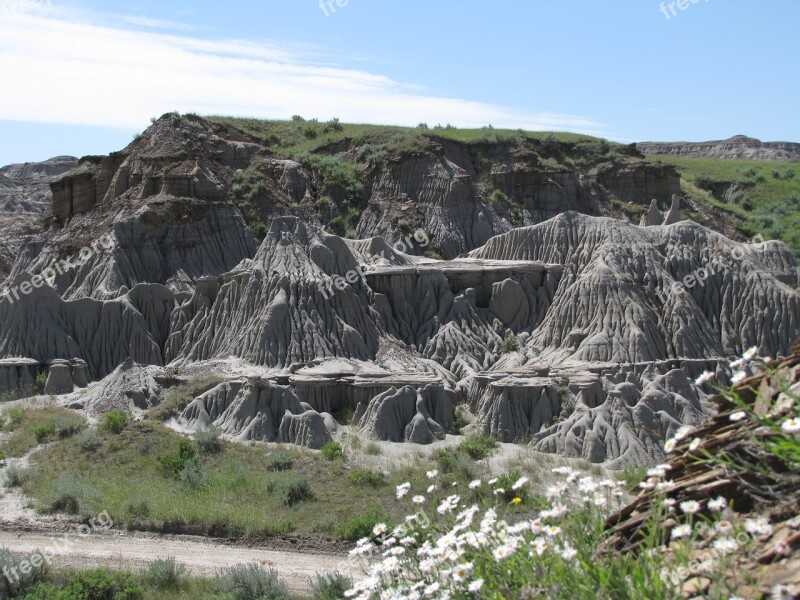 Badlands Fossils Drumheller Alberta Desert