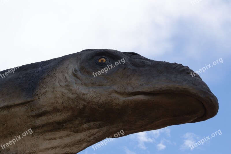 Blue Sky Dinosaur Head Dinosaur Strange Sight Looks Down