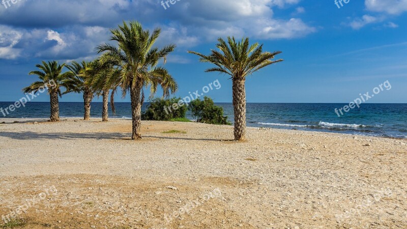 Nature Beach Palm Trees Landscape Sea