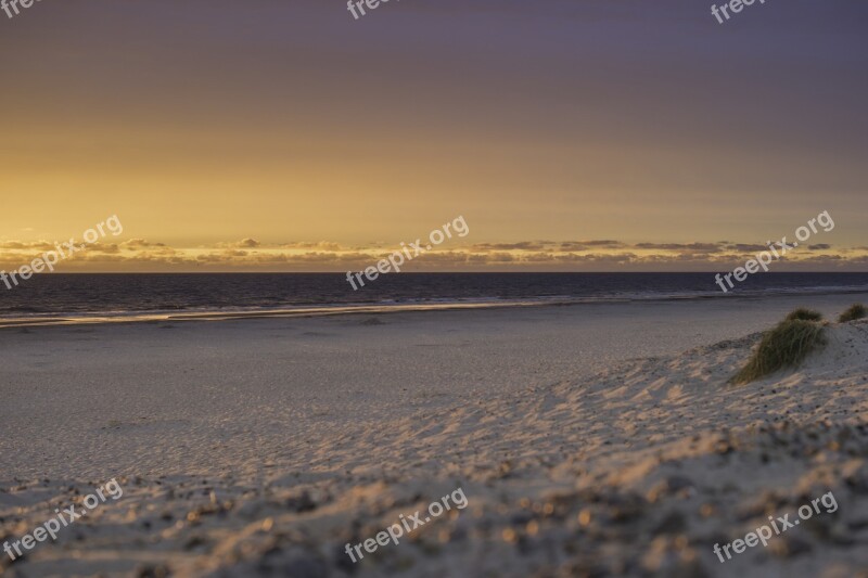 Denmark Jutland Danish Coast Landscape Summer Typical Denmark