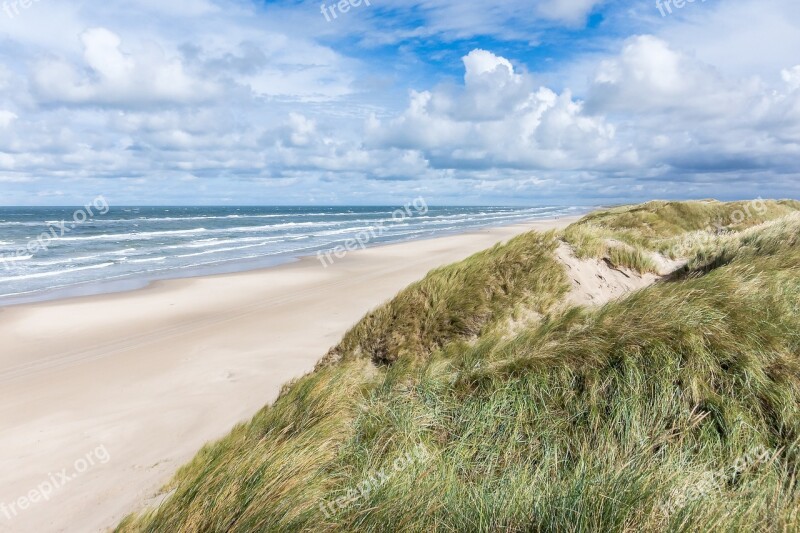 Jutland Denmark Beach Sea Dunes