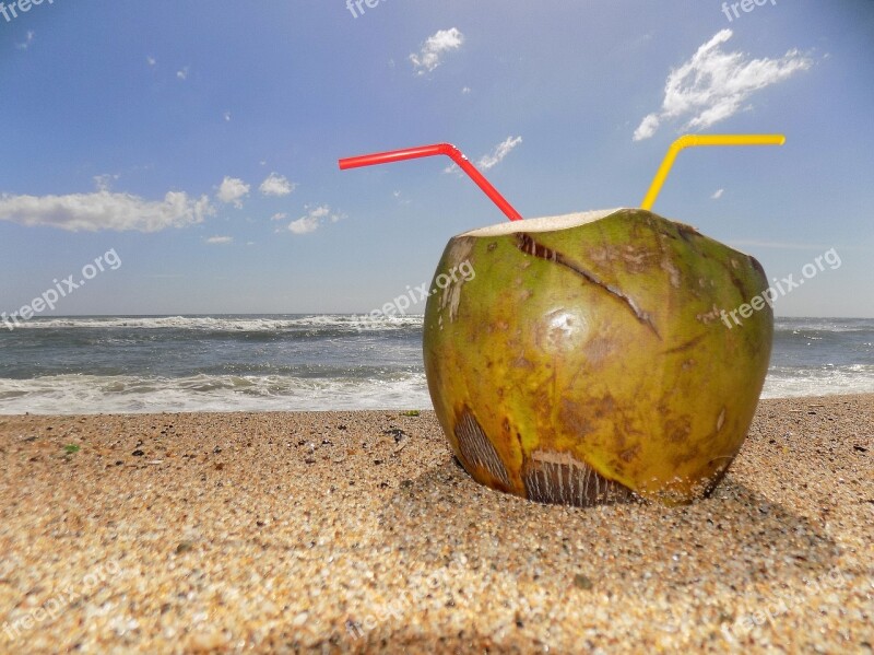 Beach Rest Coconut Water Coconut Drink