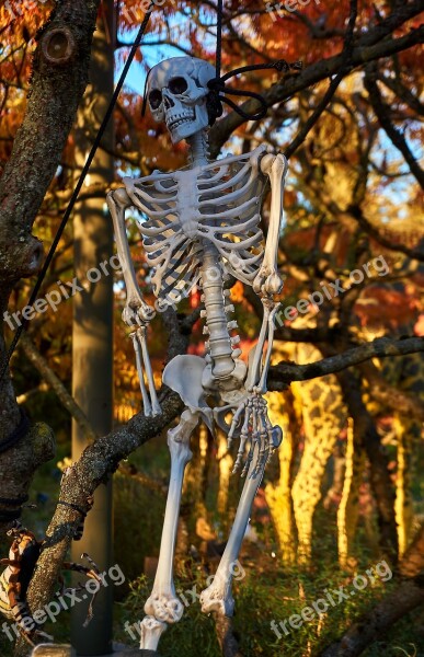 Halloween Skeletons Mood Autumn Decoration