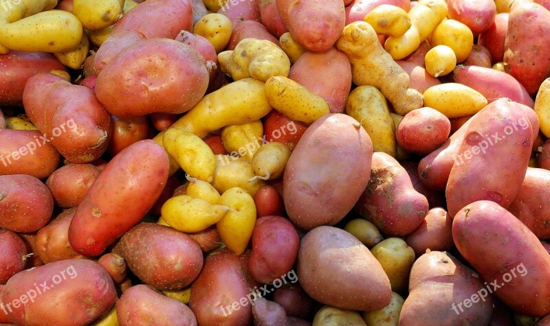 Farm Market Potatoes Farmers Potatoes Food Vegetables