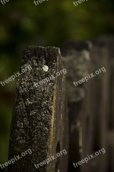 Wood Material Textures Background Surface