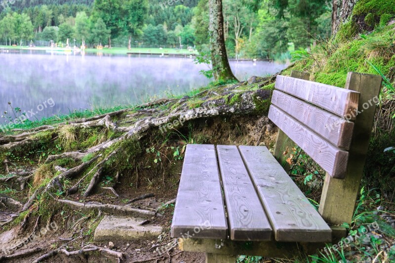 Bank Lake Wooden Bench Fog Nature