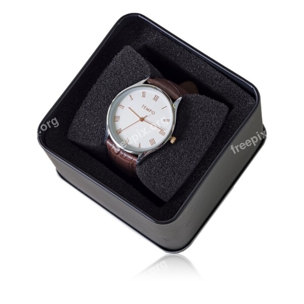 Gents Tempo Quartz Dress Watch Clock Time Isolated White