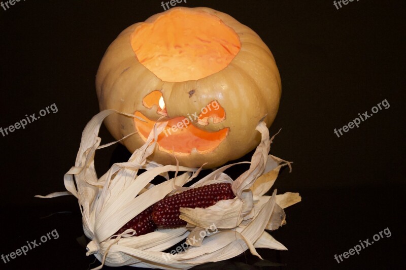 Halloween Scary Pumpkin Autumn Holidays