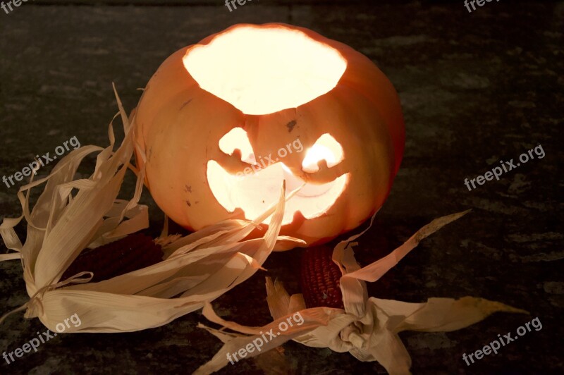 Halloween Scary Pumpkin Autumn Holidays