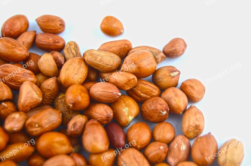 Peanut Seed Grain Eat Plant