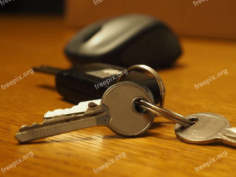 Key Keychain Mouse Open Car