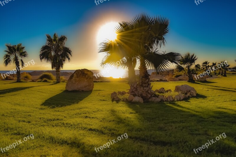 Landscaping Palm Trees Rocks Garden Landscape