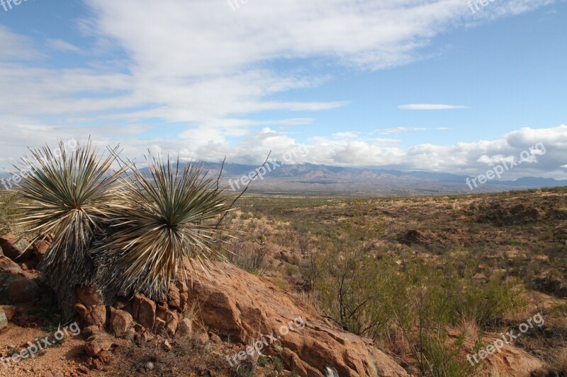 Landscape Arizona Big Sky Cacti Cactus