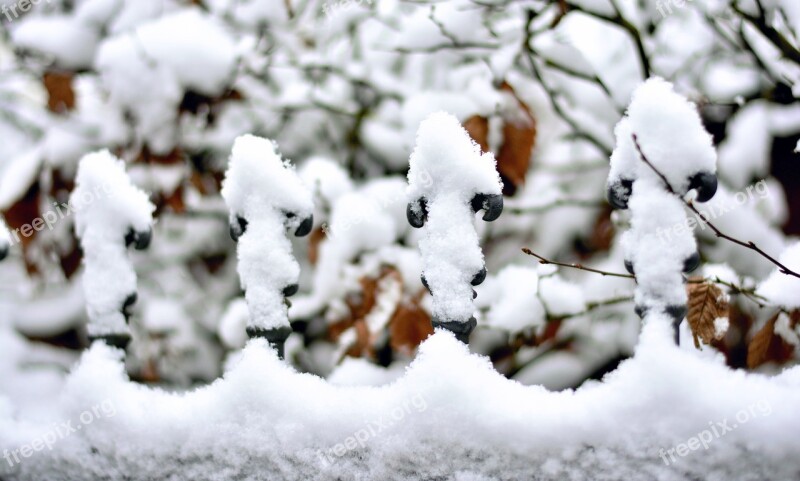 Snow Snowy Fence Winter White