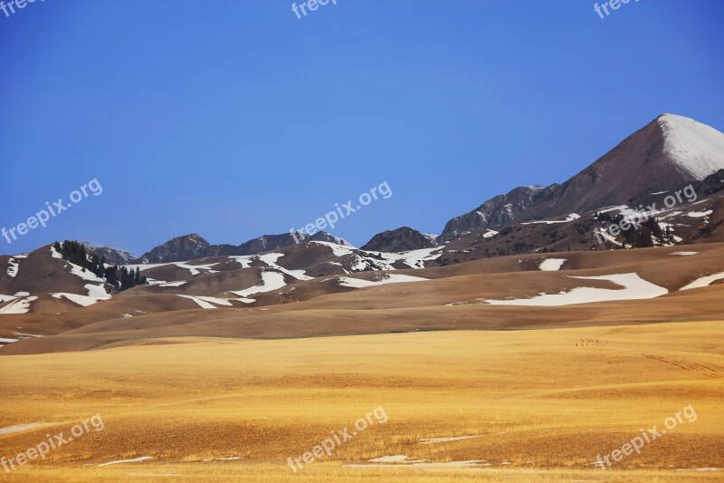 In Xinjiang Prairie Snow Mountain Autumn Gold