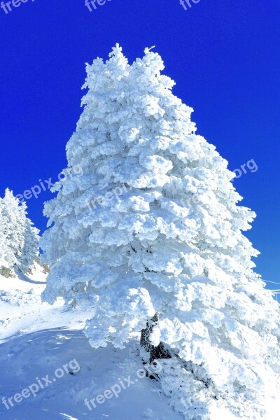 Snow Sculpture Rigi Central Switzerland Free Photos