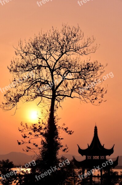 Sunset The Evening Sun China Construction Trees Silhouette