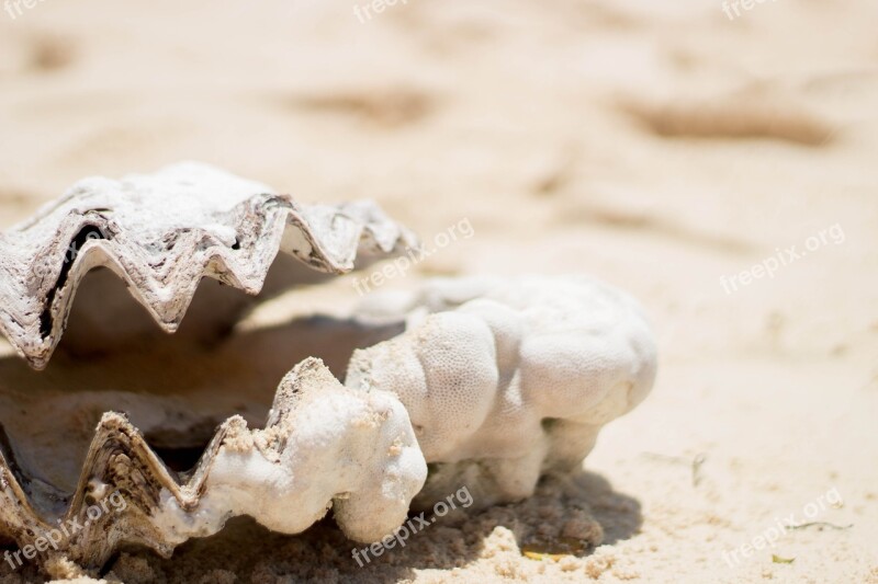 Background Beach Blue Caribbean Costa