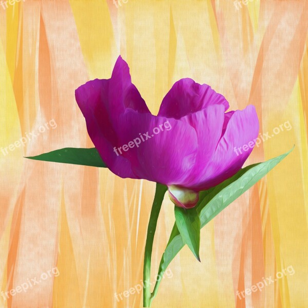 Painting Pastel Photo Painting Art Artwork