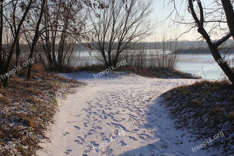 Path Snow Tracks Winter Nature