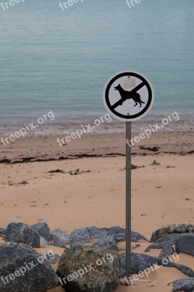 Dogs Prohibited Beach Shield Prohibitory Dogs