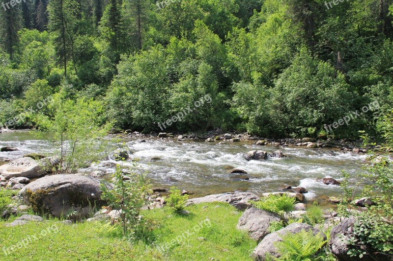 Mountain River Mountain Altai River Water Altai