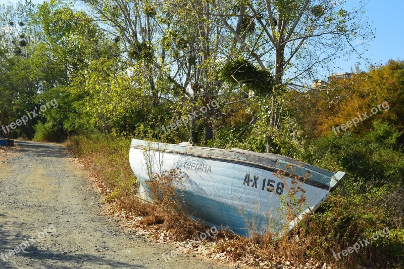 Boat Forrest Nature Tree Summer