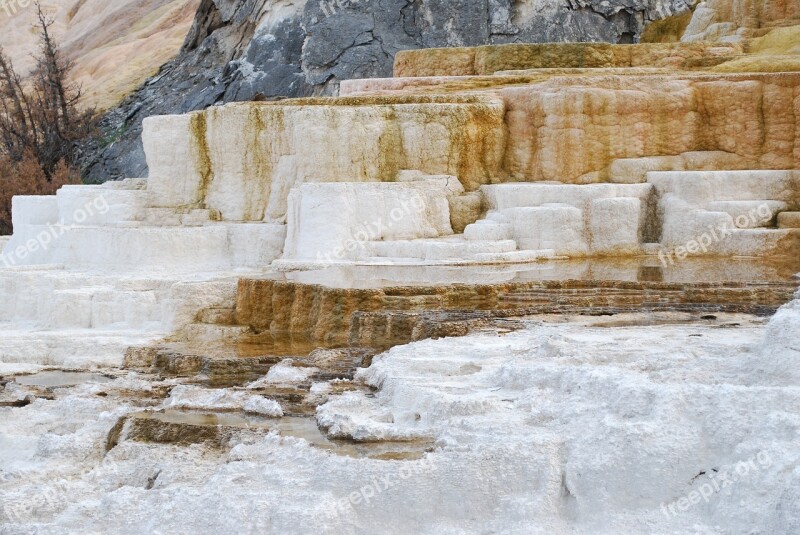 Beautiful Landscape Yellowstone Nature National Park