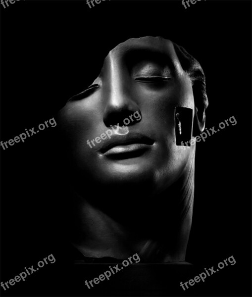 Contemporary Art Images Beauty Statue Face