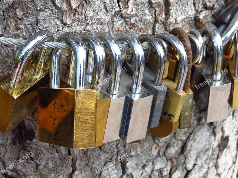 Love Locks Love Tree Castles Love Padlocks